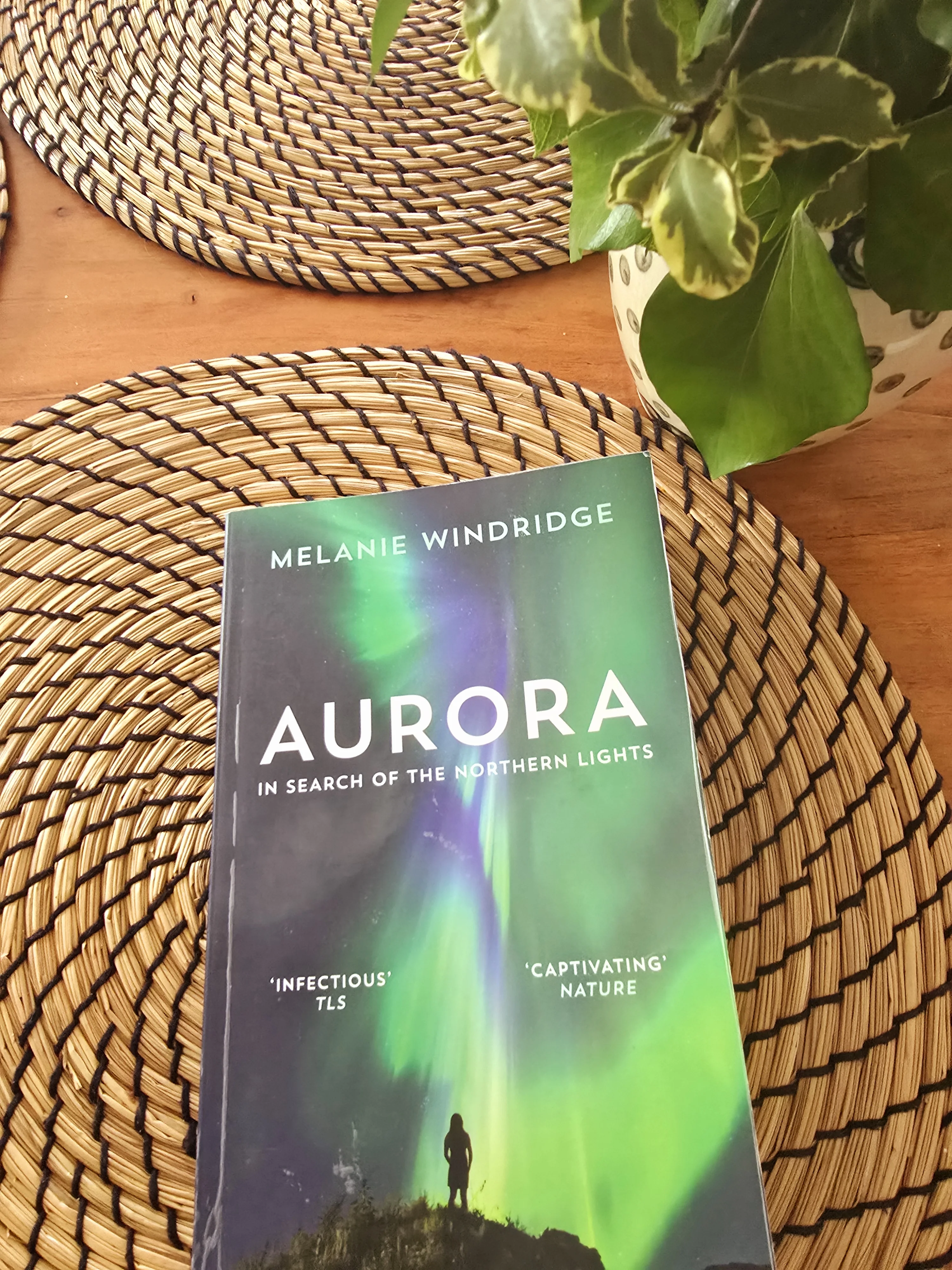 Beitragsbild zu „Aurora“